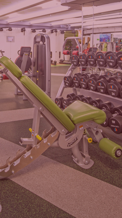 HOIST CF-3165