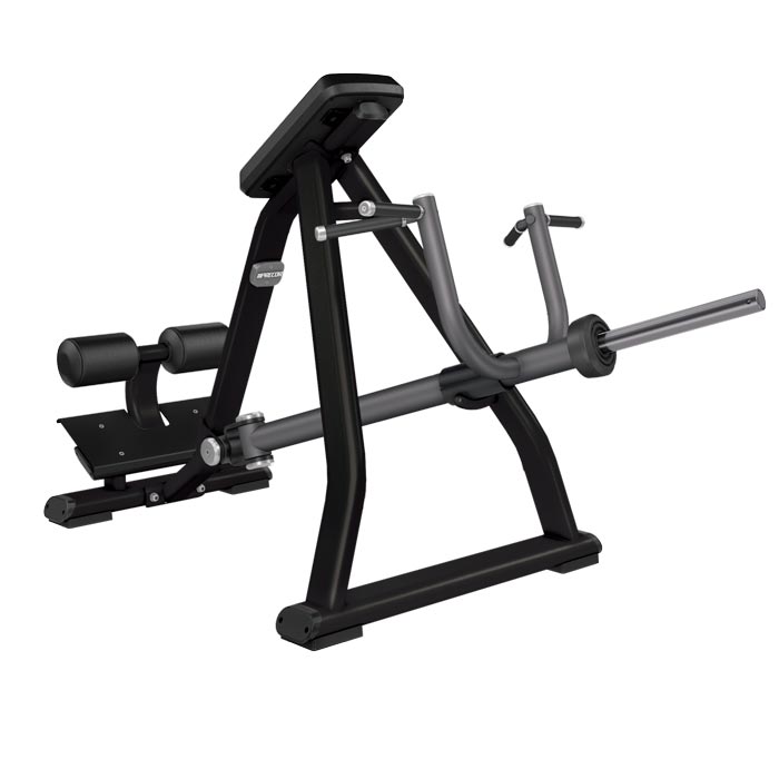 PRECOR DPL311