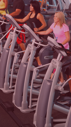 PRECOR EFX 833 V2