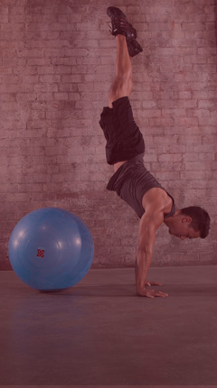BOSU Ballast Ball