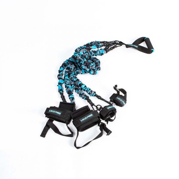 LIVEPRO Double Combat Trainer