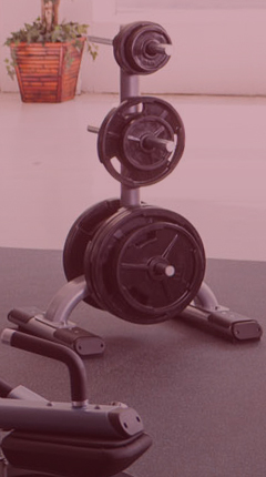 PRECOR DBR817