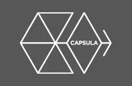 Новый проект: фитнес-студия «Capsula»