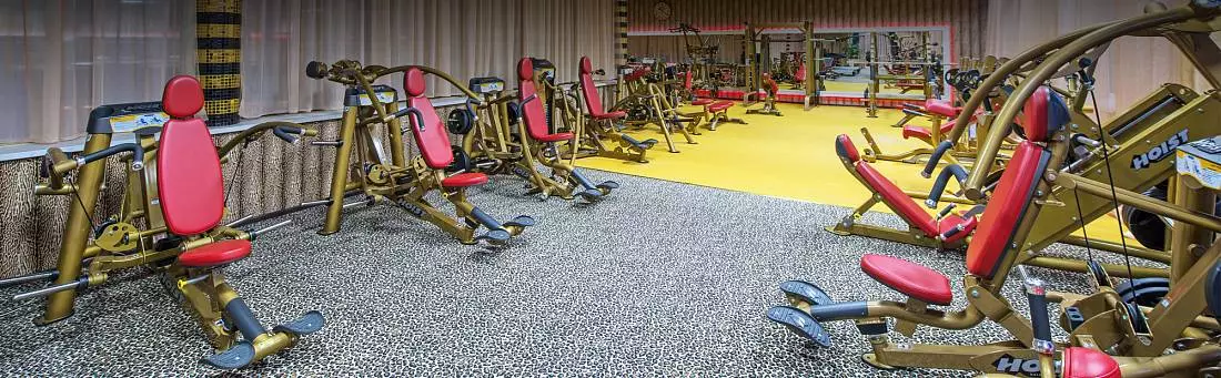 Зебра Golden Wellness